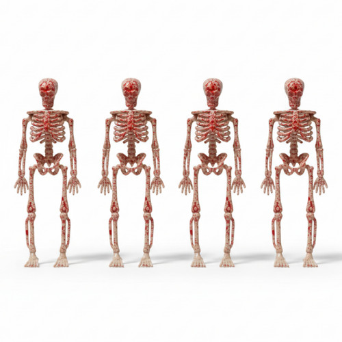 خریدآویز اسکلت