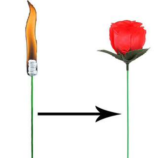 ابزار شعبده بازی حرفه ایی تبدیل مشعل به گل